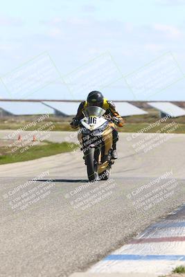 media/Mar-23-2025-TrackDaz (Sun) [[88a7749186]]/B Group/1220pm (Wheelie Bump)/